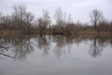 Тихая весна