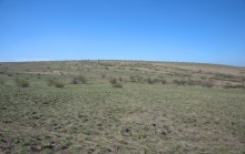 Путешествие по весенней балке Дедова в правобережье Северского Донца