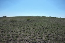 Путешествие по весенней балке Дедова в правобережье Северского Донца