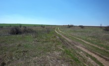 Путешествие по весенней балке Дедова в правобережье Северского Донца