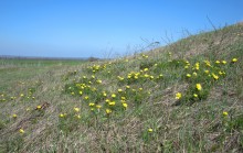 Путешествие по весенней балке Дедова в правобережье Северского Донца