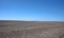 Путешествие по весенней балке Дедова в правобережье Северского Донца