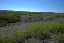 Путешествие по весенней балке Дедова в правобережье Северского Донца