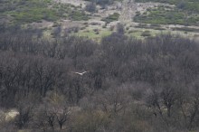 Путешествие по весенней балке Дедова в правобережье Северского Донца