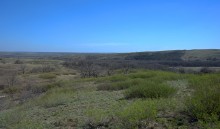 Путешествие по весенней балке Дедова в правобережье Северского Донца