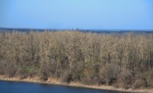 Храм Рождества Христова в Нижнекундрюченской.