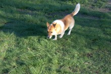 Старые элеваторы на Северском Донце у Нижнекудрючьей, Краснодонецкой и Усть-Быстрянской