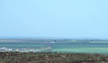 Весна на Большом Несветае