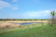Весенняя вода в холмистой донской степи