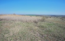 Весенняя вода в холмистой донской степи