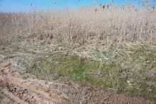 Весенняя вода в холмистой донской степи