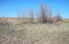 Весенняя вода в холмистой донской степи