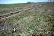 Весенняя вода в холмистой донской степи