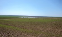 Весенняя вода в холмистой донской степи