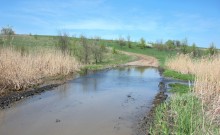 Весенняя вода в холмистой донской степи