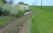 Весенняя вода в холмистой донской степи