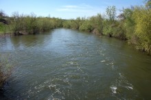 Весенняя вода в холмистой донской степи