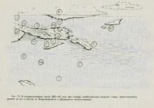 Меловые холмы, хутора и природа на правом берегу Дона в Шолоховском районе и Волгоградской области