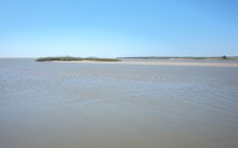 Находки у гарла Миусского лимана при низков уровне воды