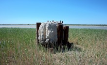 Находки у гарла Миусского лимана при низков уровне воды