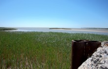 Находки у гарла Миусского лимана при низков уровне воды