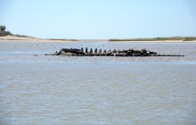 Находки у гарла Миусского лимана при низков уровне воды