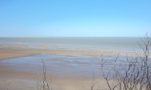 Находки у гарла Миусского лимана при низков уровне воды