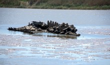 Находки у гарла Миусского лимана при низков уровне воды