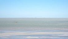 Находки у гарла Миусского лимана при низков уровне воды