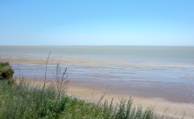 Находки у гарла Миусского лимана при низков уровне воды