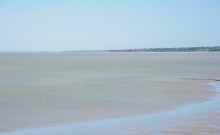 Находки у гарла Миусского лимана при низков уровне воды