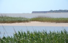 Находки у гарла Миусского лимана при низков уровне воды