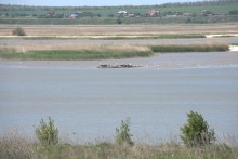 Находки у гарла Миусского лимана при низков уровне воды