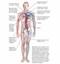 Благодарность врачам БСМП-2