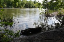 Весна в станице Старочеркасской на Дону