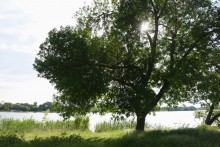 Весна в станице Старочеркасской на Дону