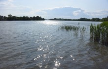 Весна в станице Старочеркасской на Дону