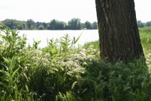 Весна в станице Старочеркасской на Дону