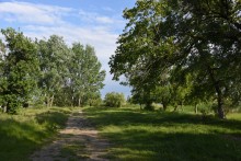 Весна в станице Старочеркасской на Дону