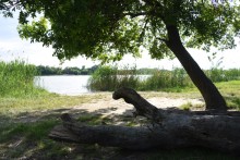 Весна в станице Старочеркасской на Дону