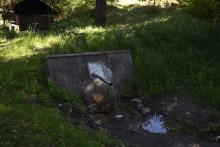 Родник у хутора Свинарёв (Ленина)