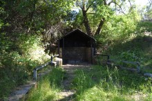 Родник у хутора Свинарёв (Ленина)