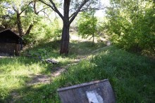 Родник у хутора Свинарёв (Ленина)