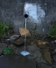 Родник у хутора Свинарёв (Ленина)