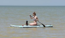 Новомаргаритовский берег Азовского моря