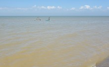 Новомаргаритовский берег Азовского моря