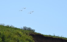 Новомаргаритовский берег Азовского моря