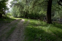 Меловые горы на Дону у хутора Мелоклетского