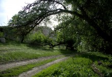 Меловые горы на Дону у хутора Мелоклетского