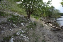 Меловые горы на Дону у хутора Мелоклетского